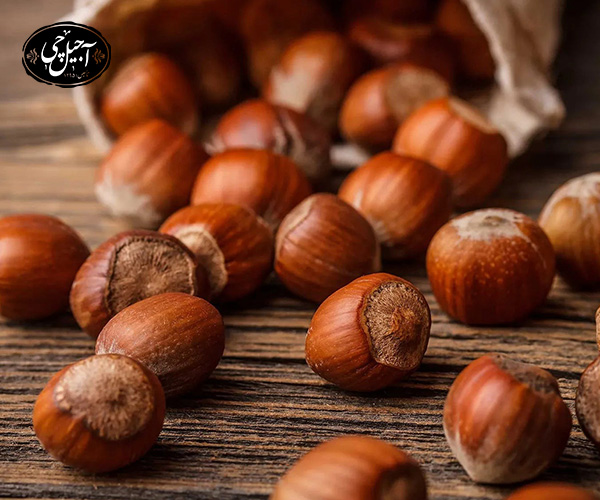 استفاده از فندق در رژیم غذایی بیماران کبدی