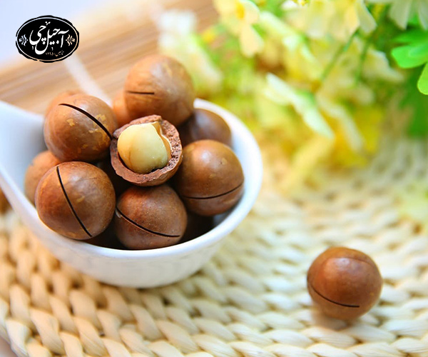 خواص ماکادمیا برای سلامت کلیه