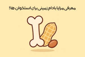 خواص بادام زمینی برای استخوان: تاثیر طلایی بر استحکام + کاهش پوکی استخوان