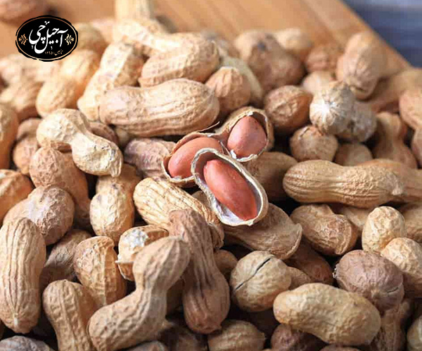 جدول تغذیه‌ای بادام زمینی