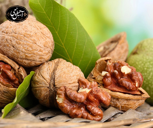 گردو برای فشار خون بالا خوبه