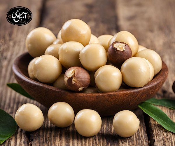 ماکادمیا یکی از آجیل های سرشار از امگا 3