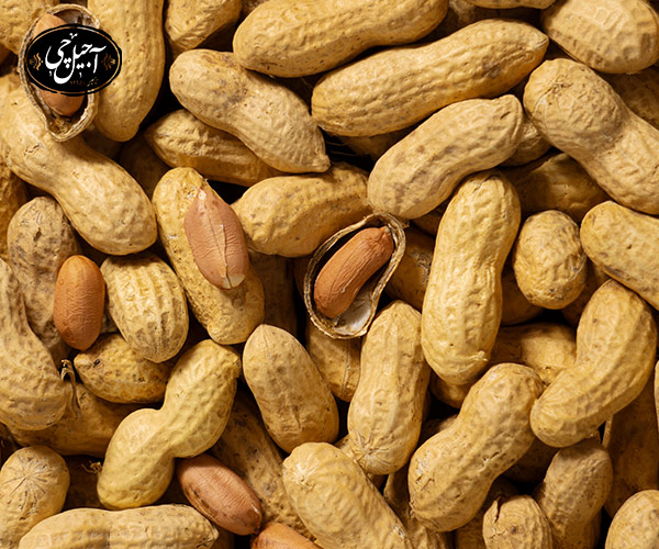  بادام زمینی سرشار از امگا ۳