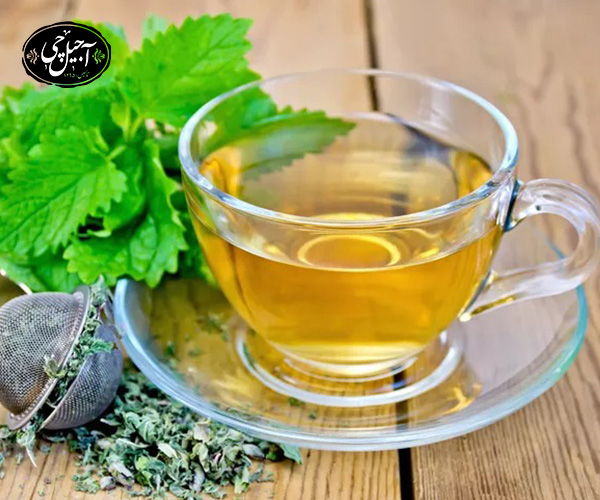 دمنوش بادرنجبویه از ذمنوش های تابستانی