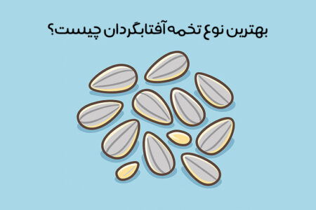 انواع تخمه آفتابگردان کدامند؟ معرفی 10 مدل اصلی + مقایسه!