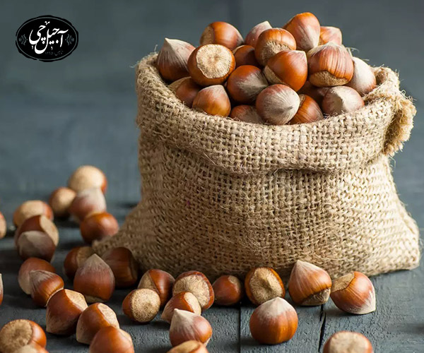 فواید فندق برای رفلاکس معده