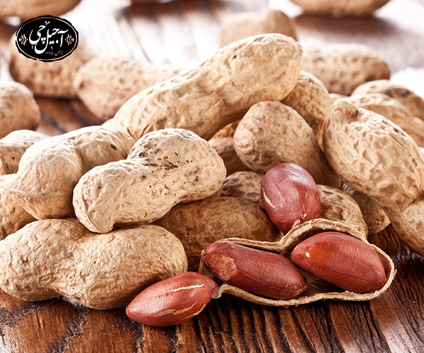 فواید بادام زمینی برای معده