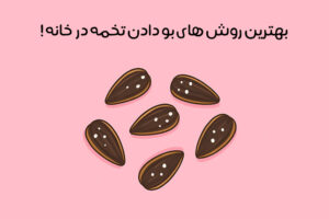 روش طعم دار کردن تخمه در خانه: آموزش 15 روش مزه دار کردن تخمه + نکات مهم