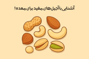 تاثیر آجیل برای معده: خواص و مضرات + نکات مصرف