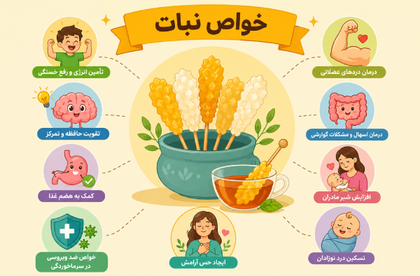 فواید نبات سفید چیست؟