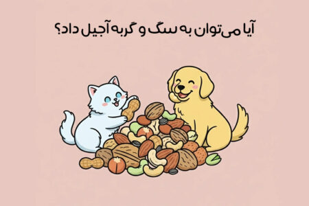 آجیل برای حیوانات خانگی مفید است یا مضر؟ + نکات مهم مصرف