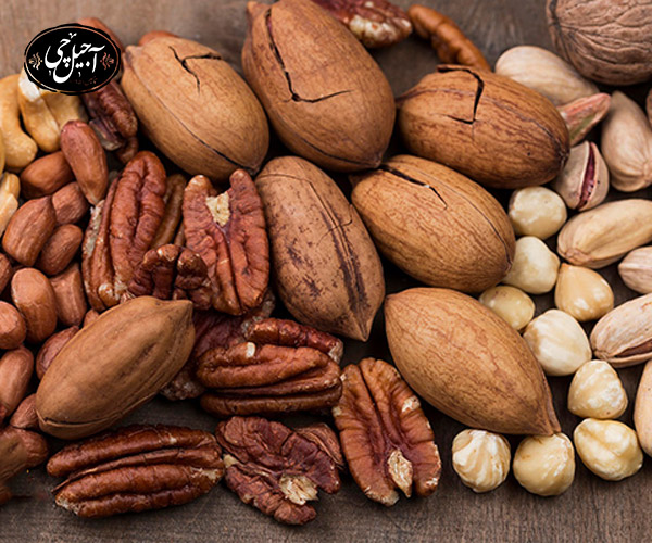 آشنایی با آجیل عربی