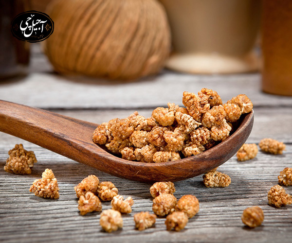 فواید توت خشک