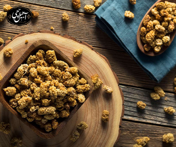 بهبود عملکرد تخمدان‌ها و تنظیم هورمون‌ها با توت خشک