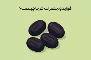 خواص خرما: 33 فایده شگفت‌انگیز خرما + نکات طلایی مصرف