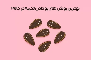 روش‌ طعم‌ دار کردن تخمه‌ در خانه: 19 روش ساده و کاربردی + عکس