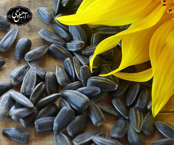 طرز بو دادن تخمه در ماهیتابه