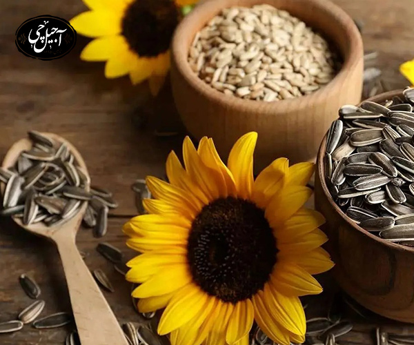 راه های بو دادن تخمه به روش بازاری