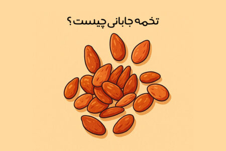 خواص تخمه جابانی: 24 خواص جادویی تخمه ژاپنی برای بدن + عوارض