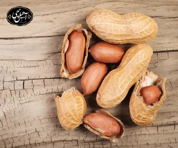 فواید آجیل برای حیوانات خانگی