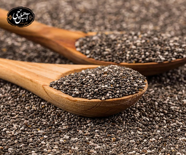 بهترین آجیل برای حیوانات خانگی چیست ؟