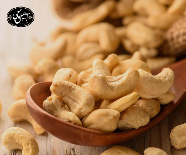 آجیل های مفید برای سگ کدامند