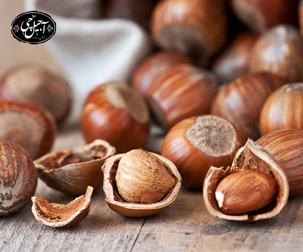 کدام آجیل ها برای حیوانات خانگی ضرر دارد ؟