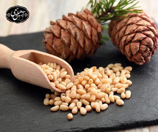 آیا آجیل برای حیوانات خانگی مضر است ؟