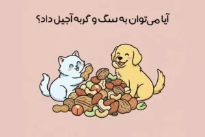 آجیل برای حیوانات خانگی مفید است یا مضر؟ + نکات مهم مصرف