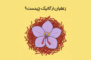 زعفران ارگانیک چیست: ویژگی ها + تفاوت زعفران ارگانیک و اصل