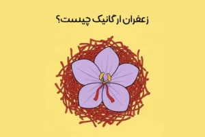زعفران ارگانیک چیست: ویژگی ها + تفاوت زعفران ارگانیک و اصل