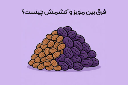 تفاوت مویز و کشمش: 9 فرق مویز و کشمش + کدام بهتره؟