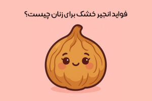 خواص انجیر خشک برای زنان: 20 خاصیت انجیر خشک در افزایش انرژی و تنظیم هورمون‌ها