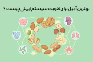 بهترین آجیل برای تقویت سیستم ایمنی: 8 آجیل طلایی + زمان مصرف