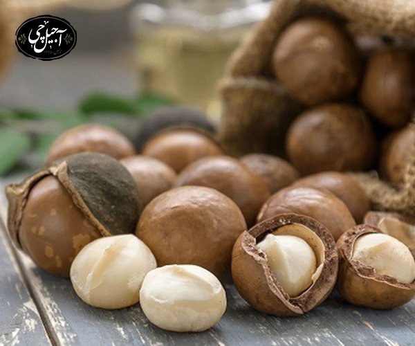 9. ماکادمیا از بهترین آجیل ها برای قلب