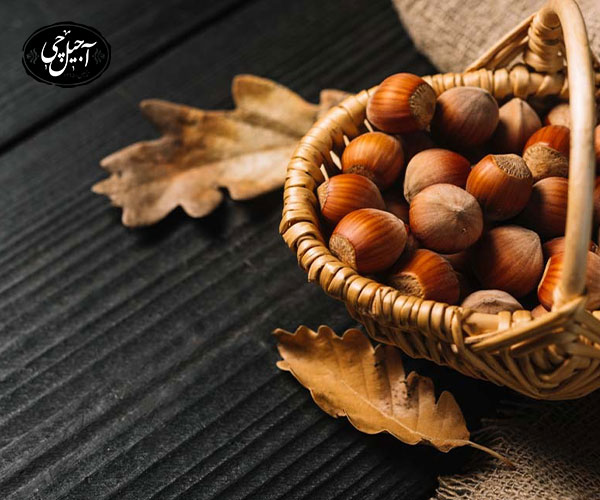 7. فندق بهترین آجیل برای قلب