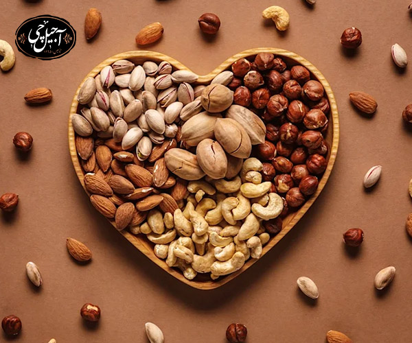 معرفی و ذلایل اهمیت ویتامین B12