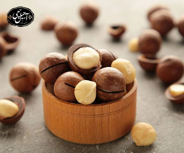 5. ماکادمیا آجیل مفید برای سالمندان