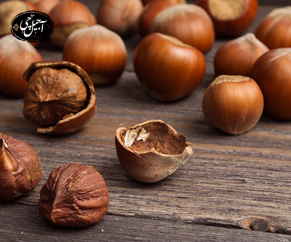 ویژگی های فندق ترکیه ای