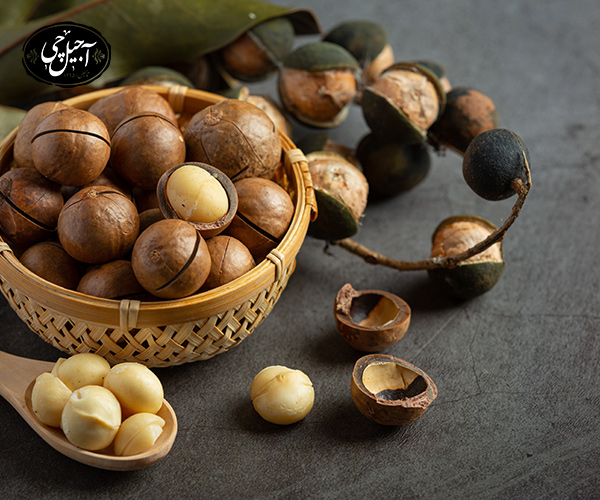 تفاوت فندق خام و بو داده