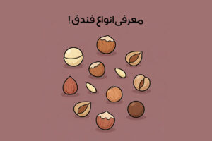 نواع فندق: معرفی بهترین فندق‌های ایرانی و خارجی + خصوصیات و کاربردها