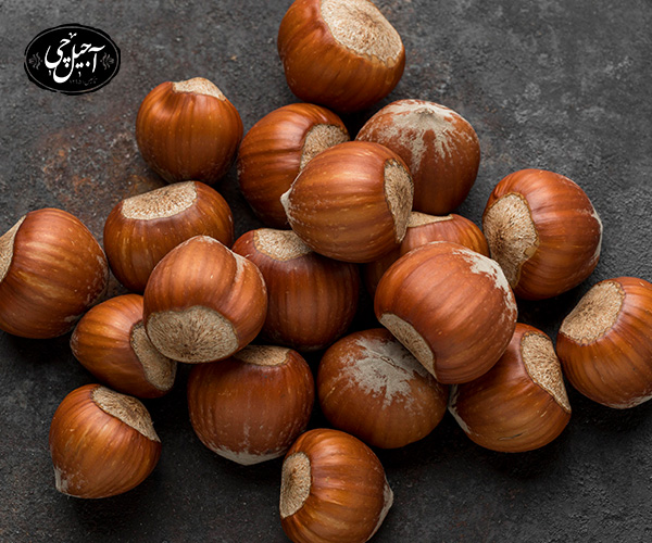 انواع مختلف فراوری فندق