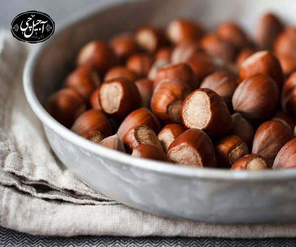 معرفی انواع مختلف فندق های خارجی