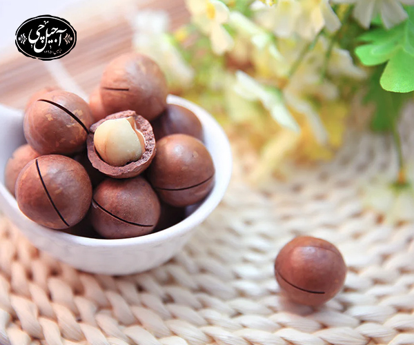 انواع مختلف فندق های ایرانی