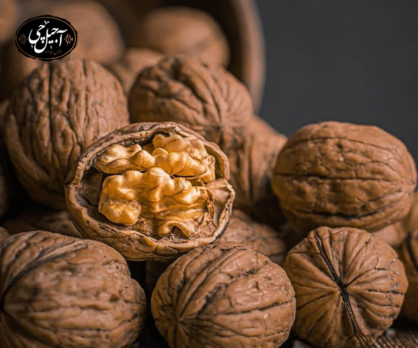 مزایای گردو برای سلامت کودکان طبق تحقیقات علمی