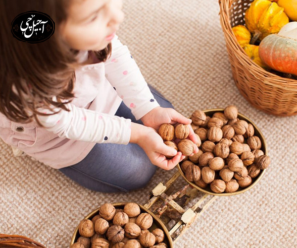 اهمیت استفاده از گردو در رژیم غذایی کودکان