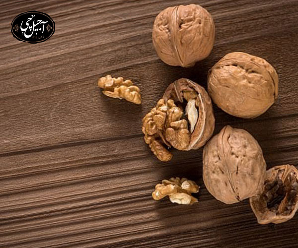 5. افزایش تمرکز و قدرت یادگیری