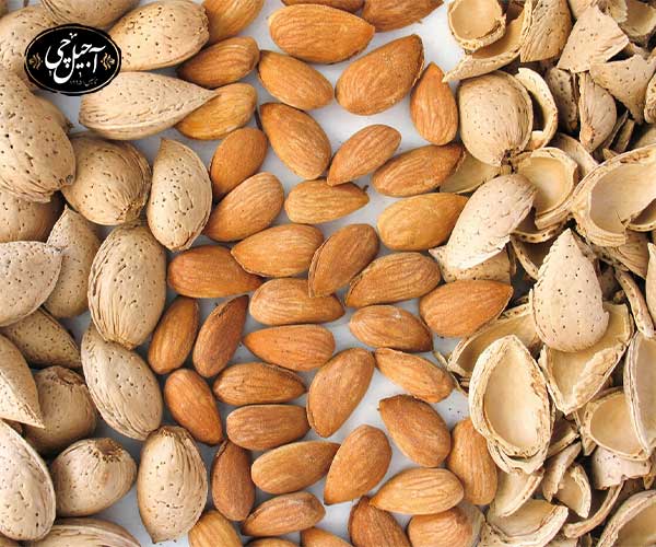 تفاوت بادام سنگی و کاغذی