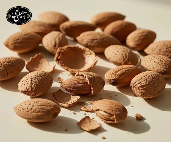 معرفی بادام کاغذی 