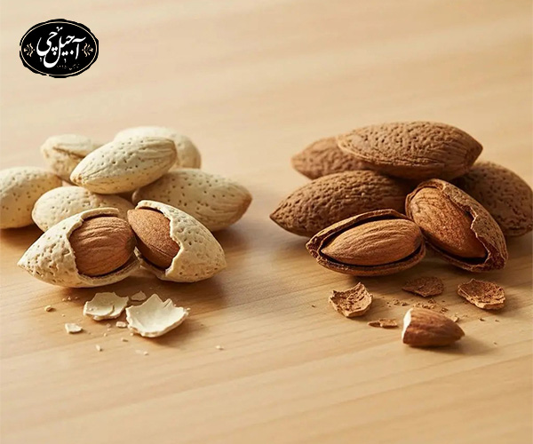 فرق بادام کاغذی با بادام درختی